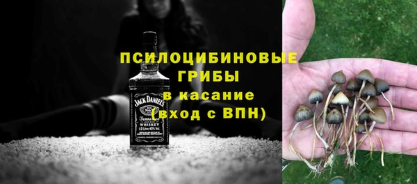 прущая мука Каменногорск