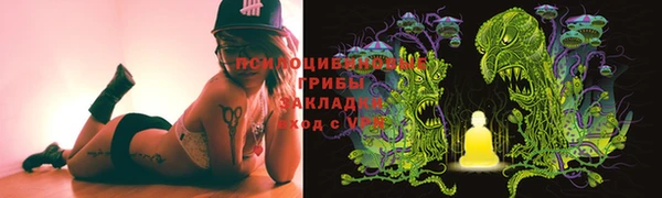 шишки Каменск-Шахтинский