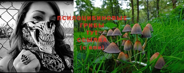 шишки Каменск-Шахтинский