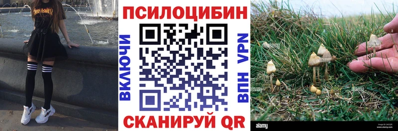даркнет сайт  Касимов  Псилоцибиновые грибы GOLDEN TEACHER 